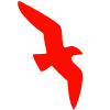 Air Arabia